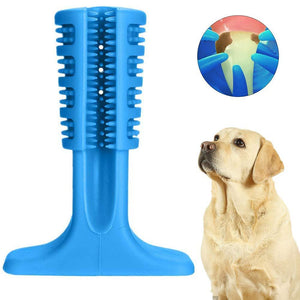 DOG'S TEETH WHITENING