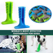 Încărcați imaginea în vizualizatorul Galerie, DOG&#39;S TEETH WHITENING